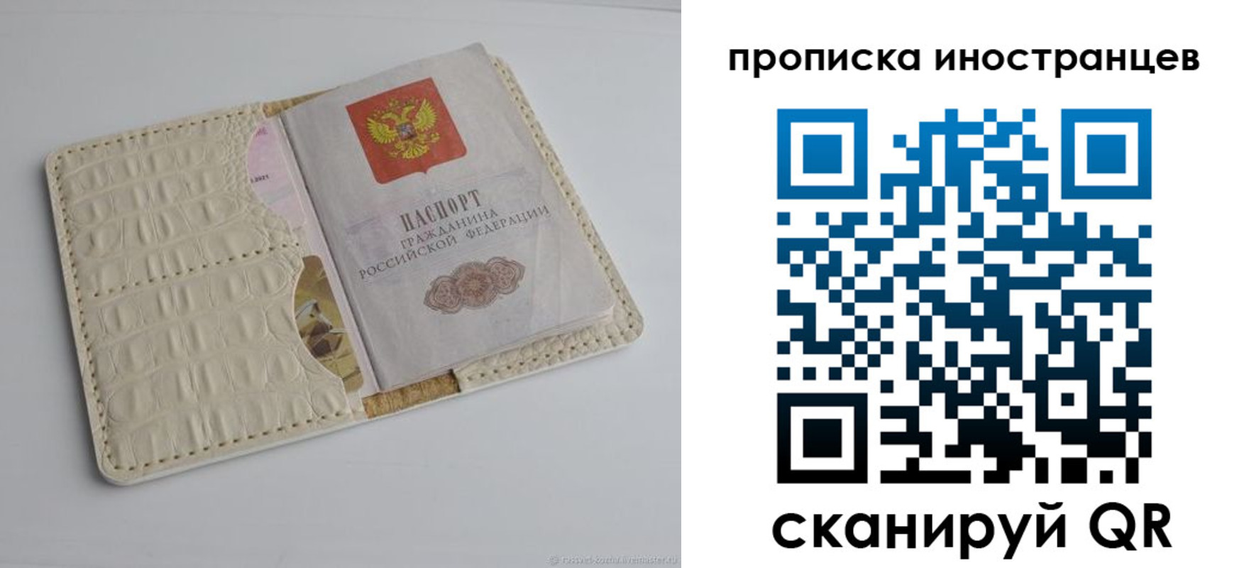 найти адрес прописки в Светлогорске